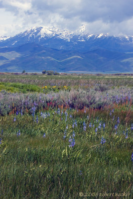 Camas Prairie and Soldier Mountains