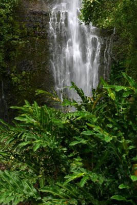Road To Hana Waterfall