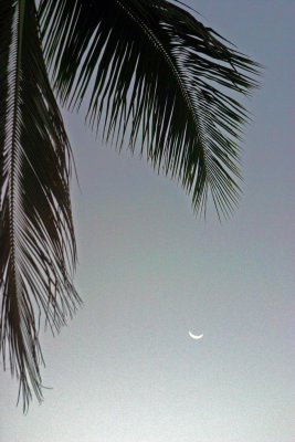Moon Over Maui
