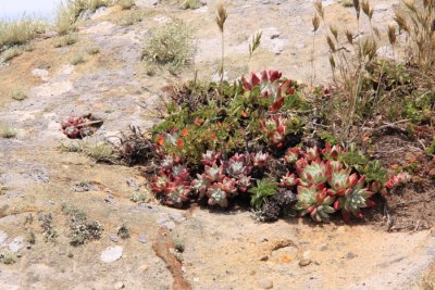 Point Reyes