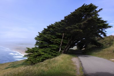 Point Reyes coast line