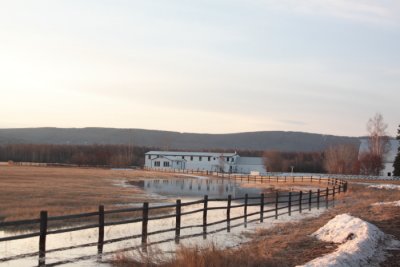 Creamer Field