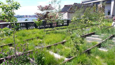 Tracks and river view at High Line