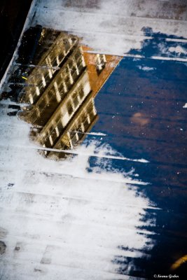 From My Window:Reflection in a puddle of a roof