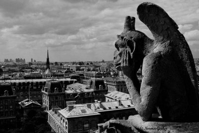Notre Dame Thinker, PARIS