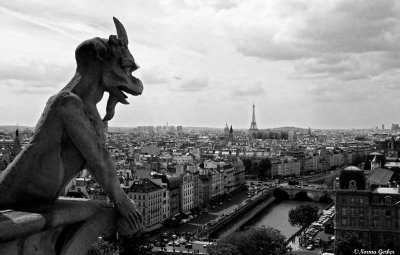 Gargoyle looks over Paris