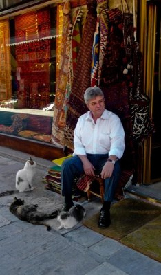 Rug merchant and cats