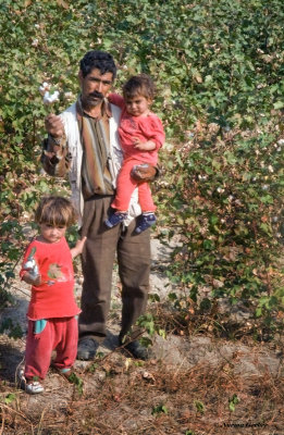 PORTRAITS 25/Turkish cotton pickers