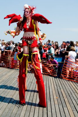 Lobster on stilts