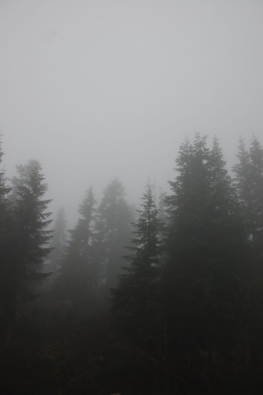 Grouse Mountain_17.jpg