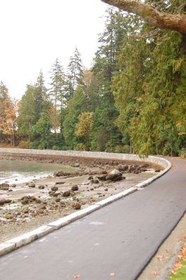 Stanley Park Seawall 16