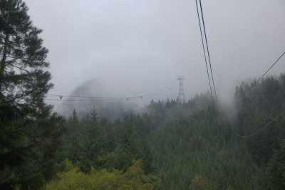 g1/21/102221/3/129709985.rP5EO2rC.jpg