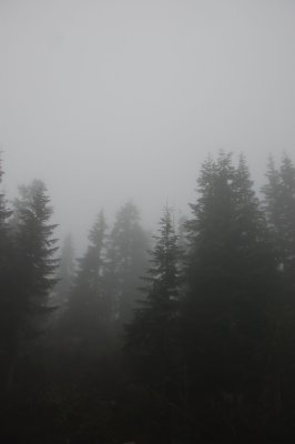 g1/21/102221/3/129710003.xMPewlwp.jpg