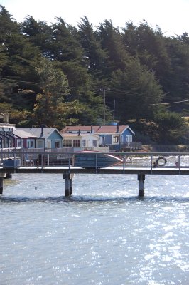 Oyster Day Trip - 23.jpg