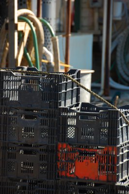 Oyster Day Trip - 29.jpg