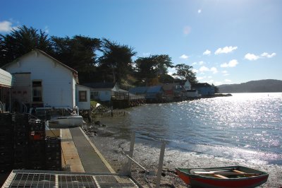 Oyster Day Trip - 33.jpg