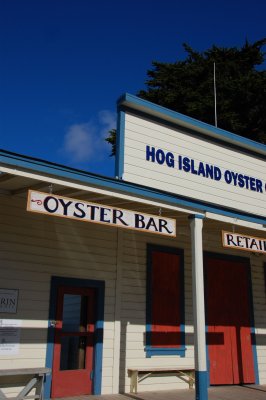 Oyster Day Trip - 34.jpg
