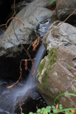 MT.Tam_36.jpg