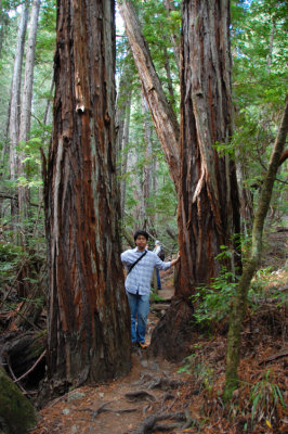 MT.Tam_44.jpg