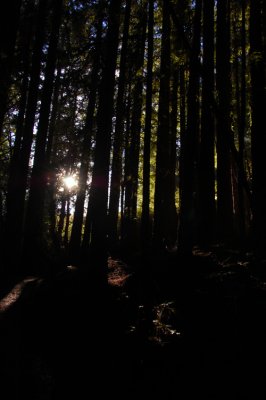 Bootjack Trail
