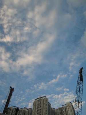 19_9_08c.jpg