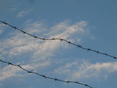 19_9_08f.jpg