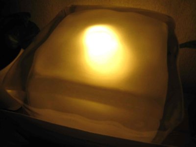 7_10_08_01.jpg