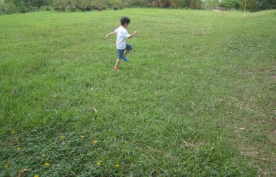 7_10_08_26.jpg