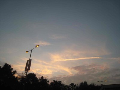 9_10_08c.jpg