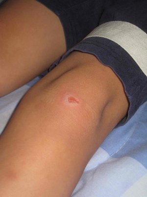 22_10_08c.jpg