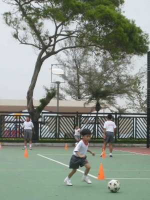 25_10_08s.jpg