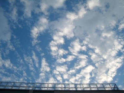 IMG_3696.jpg