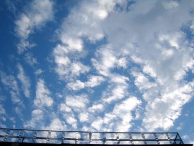 IMG_3697.jpg