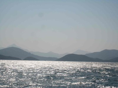 IMG_4010.jpg