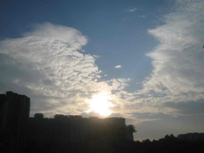 IMG_4983.jpg