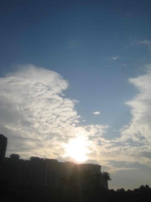 IMG_4984.jpg