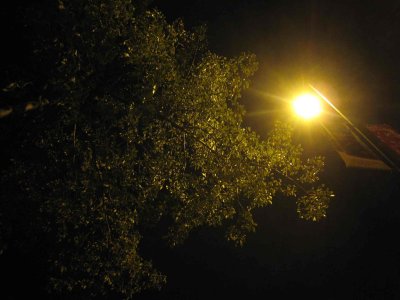 17_12_08c.jpg