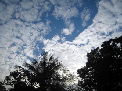 24_12_08_54.jpg