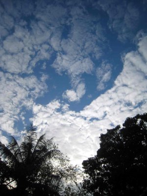 24_12_08_55.jpg