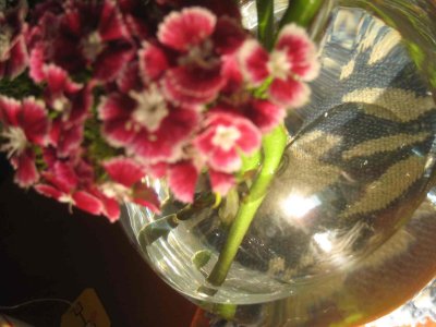 4_1_09i.jpg