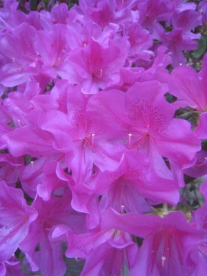 8_3_09a.jpg