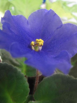 27_3_09f.jpg