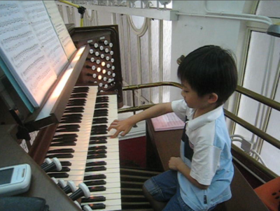 RioXOrgan_c.jpg