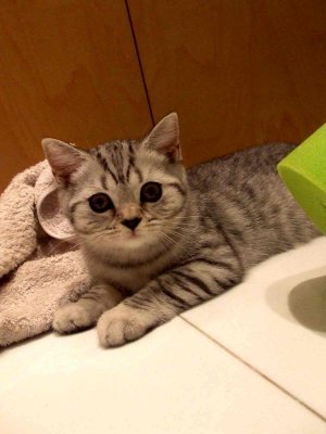 6_7_09e.jpg