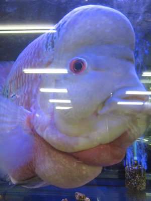12_9_09x.jpg
