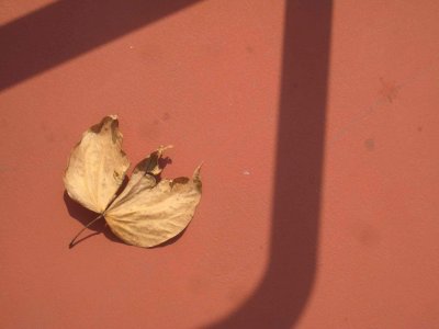 10_10_09_26.jpg