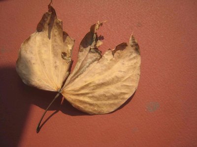 10_10_09_27.jpg