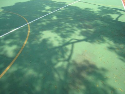 10_10_09_31.jpg