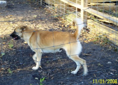Fall2008 164.jpg