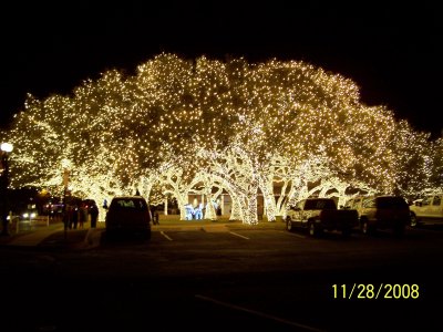 g1/21/122021/3/106664834.j41jzT3M.jpg